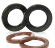 Oil Seal