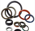 Oil Seal