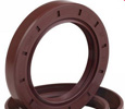 Oil Seal