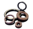 Oil Seal