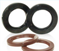 Oil Seal