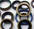 Oil Seal