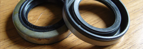 Oil Seal